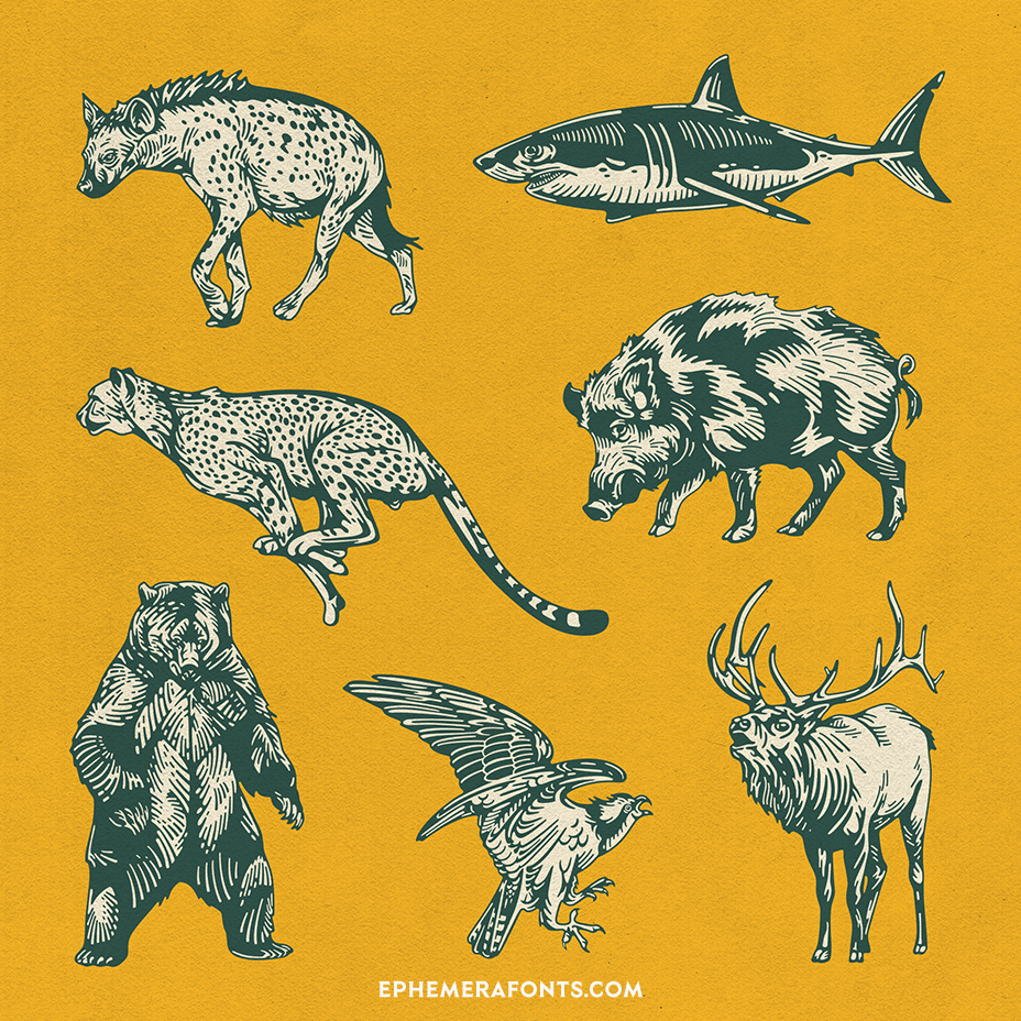 Wild Animal Illustrations 01 part 4