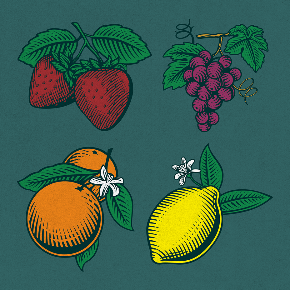 Random Fruit Illustrations 01
