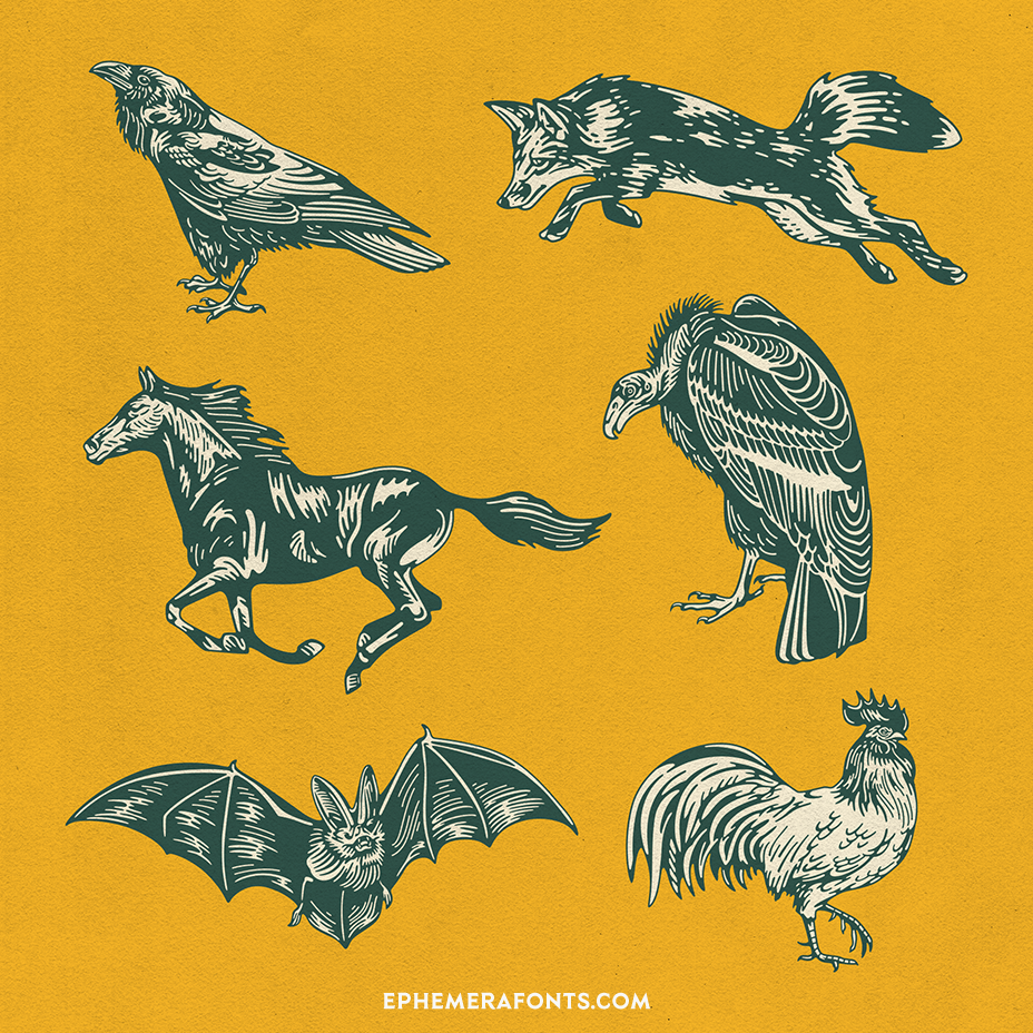 Wild_Animal_Illustrations_01_Part_1-back.png?v=1592142633
